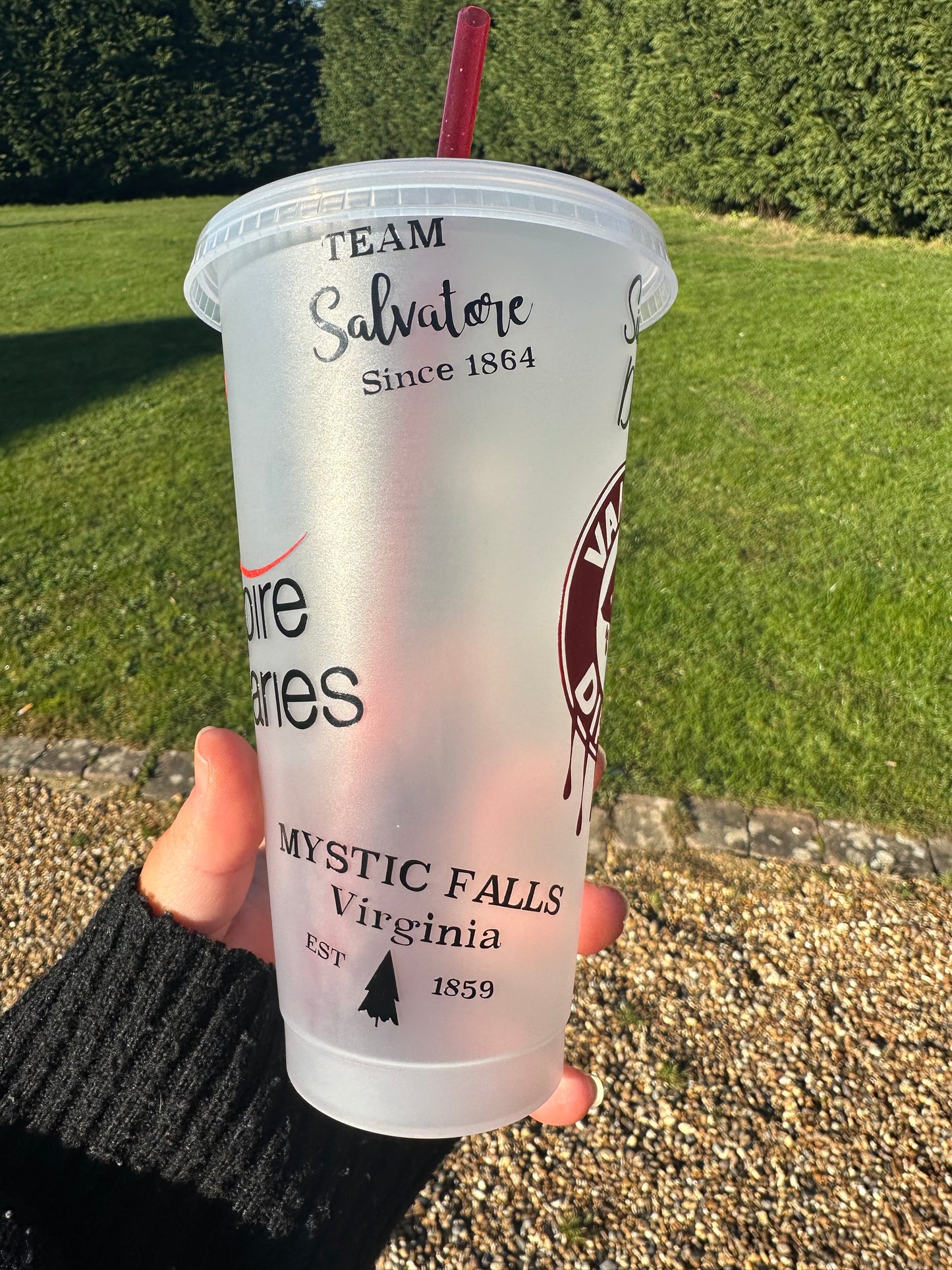 Vampire diaries cold cup