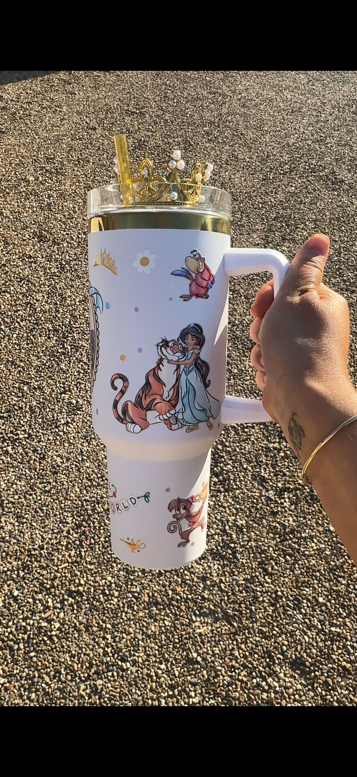 Jasmine Aladdin 40oz tumbler